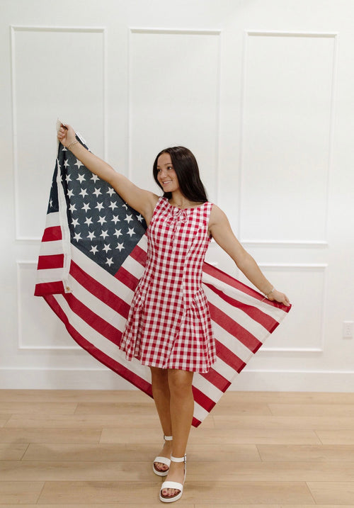 All-American Mini Dress